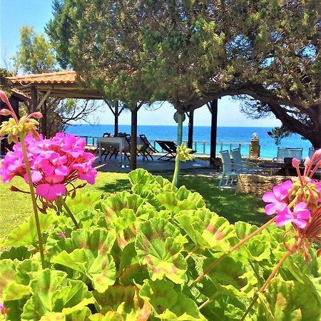 Genari Beach Apartments Levendokhórion Eksteriør billede